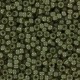 Miyuki rocailles Perlen 11/0 - Ceylon translucent celery 11-2374